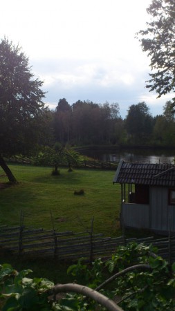 Utsikt från ett äppleträd